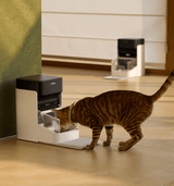 Petlibro PETLIBRO: chat d’animal de compagnie mange au distributeur automatique de nourriture; fontaine à eau et bac à litière en fond