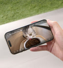 Petlibro application mobile montrant un chat mangeant des croquettes via caméra de distributeur automatique connecté