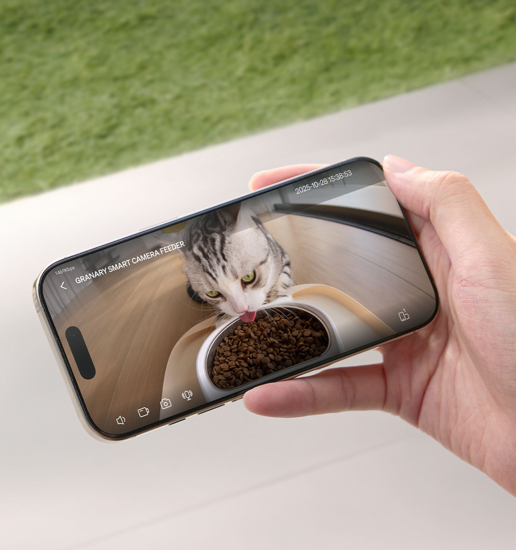 Petlibro application mobile montrant un chat mangeant des croquettes via caméra de distributeur automatique connecté