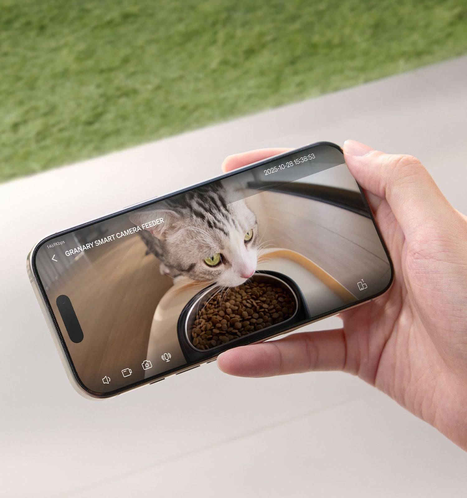Petlibro application mobile montrant un chat mangeant des croquettes via caméra de distributeur automatique connecté