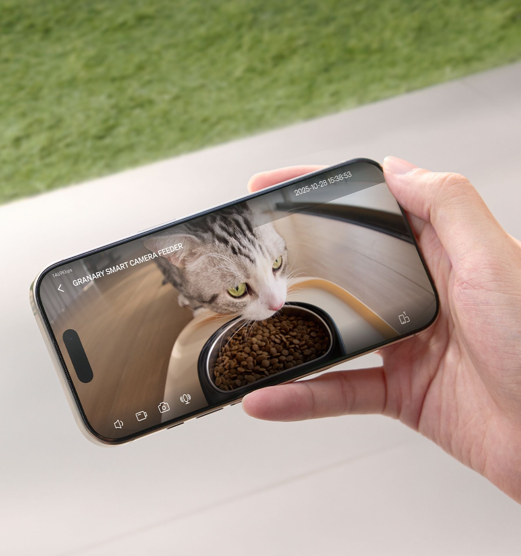 Petlibro application mobile montrant un chat mangeant des croquettes via caméra de distributeur automatique connecté