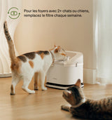 Petlibro PETLIBRO animal de compagnie: chat boit à la fontaine à eau, près d’un distributeur automatique de nourriture et bac à litière blanc.