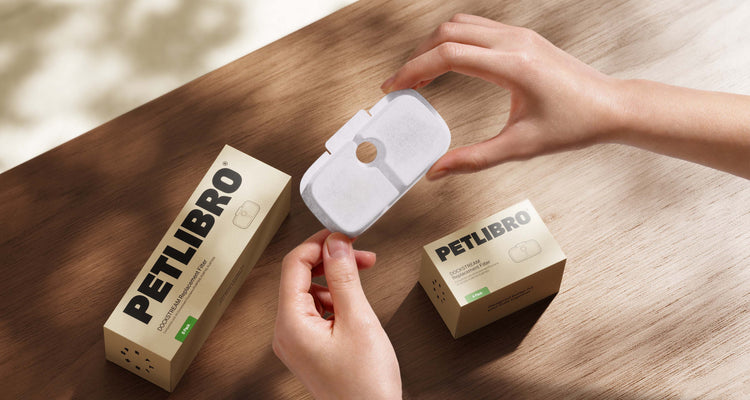Petlibro PETLIBRO filtre de rechange pour fontaine à eau, accessoire animal de compagnie chat, distributeur automatique de nourriture, bac à litière
