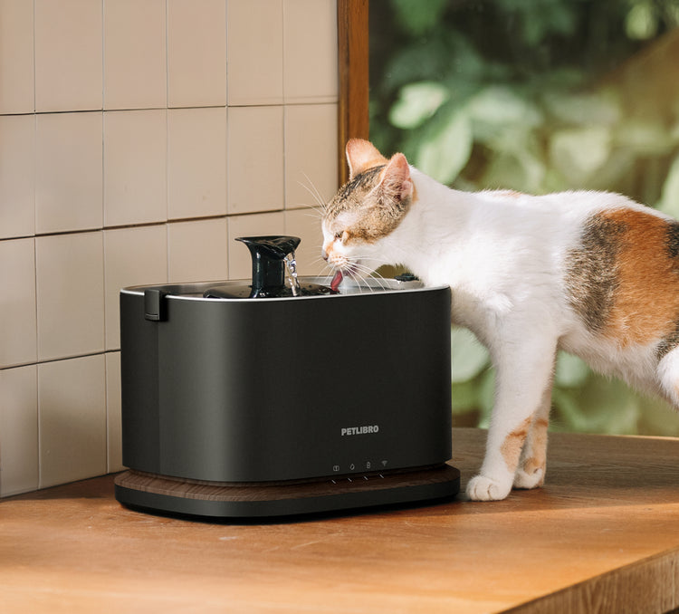 Petlibro PETLIBRO chat buvant à la fontaine à eau; mention distributeur automatique de nourriture et bac à litière animal de compagnie
