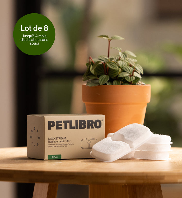 Petlibro PETLIBRO filtres pour fontaine à eau animal de compagnie chat; pas de distributeur automatique de nourriture ni bac à litière.
