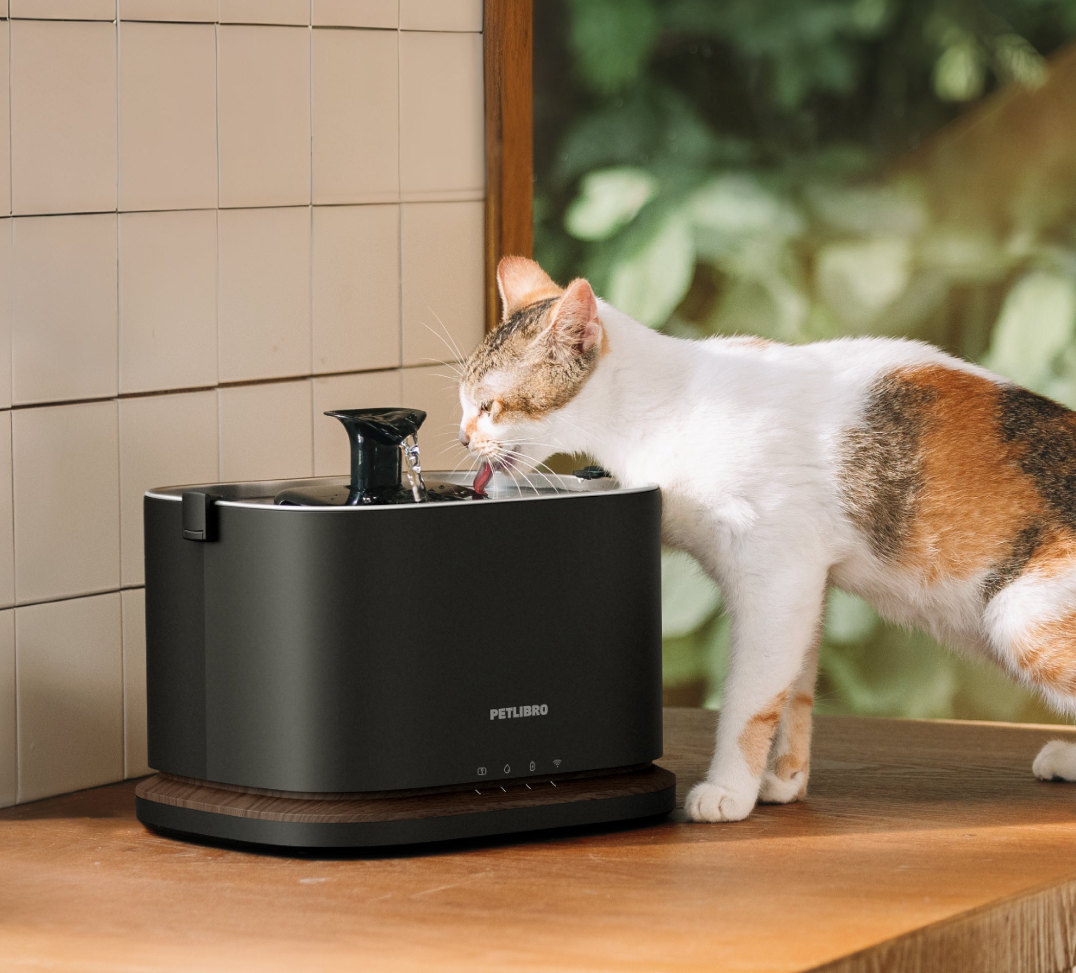 Petlibro PETLIBRO animal de compagnie: chat buvant à la fontaine à eau; mention distributeur automatique de nourriture et bac à litière