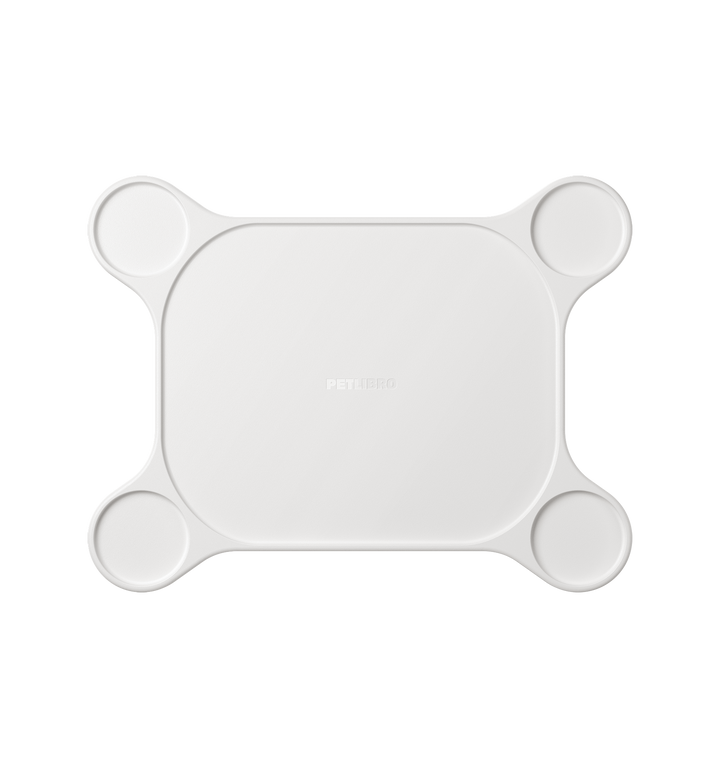 Base de stabilité Luma pour tapis