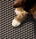 Petlibro PETLIBRO patte de chat sur tapis de bac à litière; animal de compagnie, distributeur automatique de nourriture, fontaine à eau
