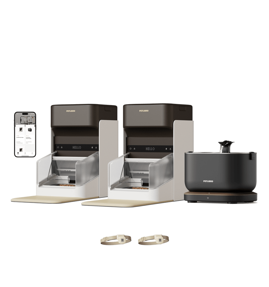 One RFID distributeur pour animaux