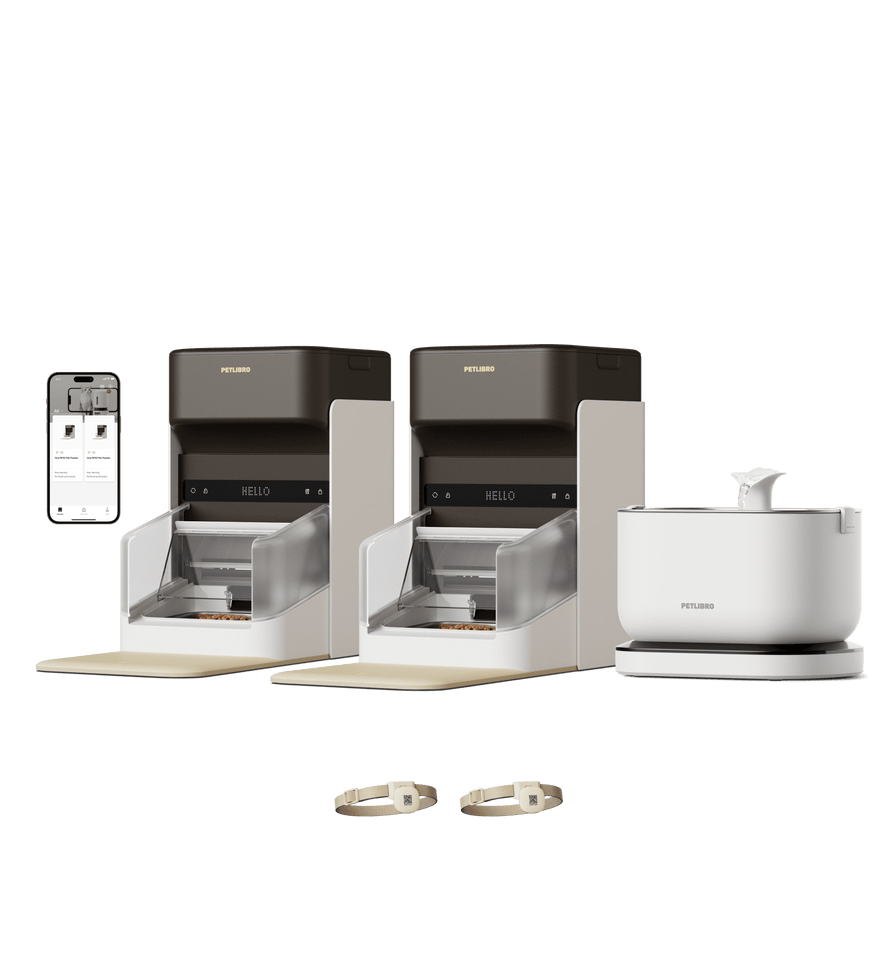 One RFID distributeur pour animaux