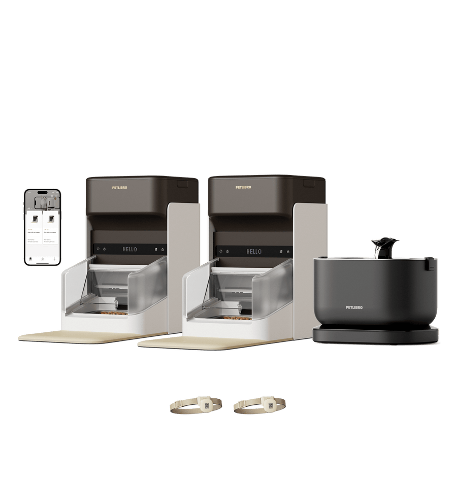 One RFID distributeur pour animaux