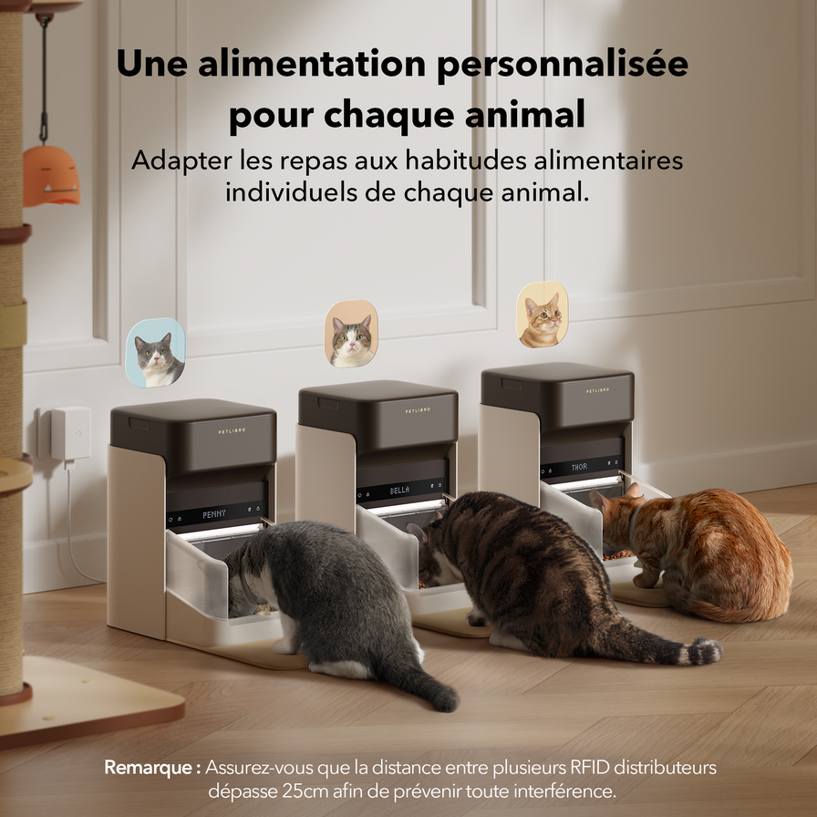 One RFID distributeur pour animaux