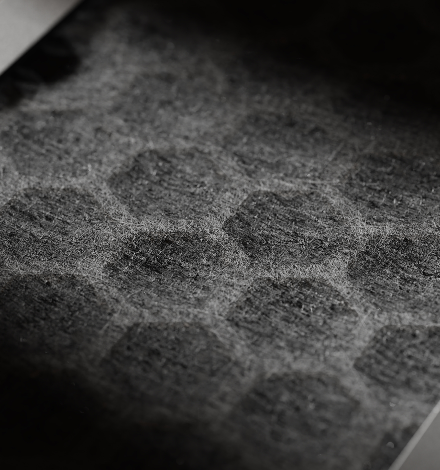 Petlibro PETLIBRO gros plan de poils sur tapis gris; animal de compagnie chat, distributeur automatique de nourriture, fontaine à eau, bac à litière