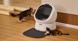 Petlibro PETLIBRO bac à litière automatique blanc pour animal de compagnie; chat près, avec distributeur automatique de nourriture et fontaine à eau.