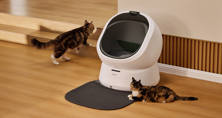 Petlibro PETLIBRO bac à litière automatique blanc pour animal de compagnie; chat près, avec distributeur automatique de nourriture et fontaine à eau.