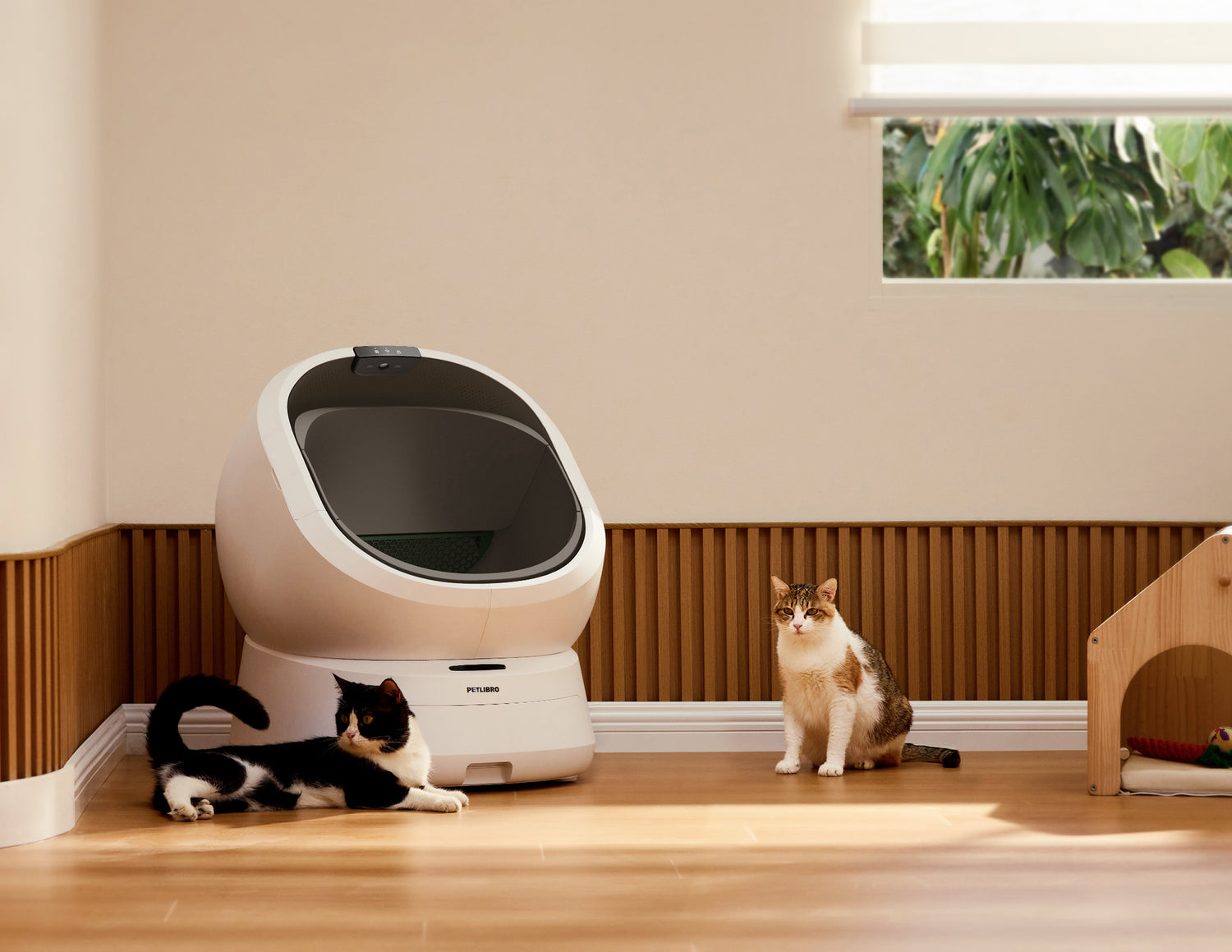 Petlibro PETLIBRO bac à litière pour animal de compagnie, chat près; mention distributeur automatique de nourriture et fontaine à eau