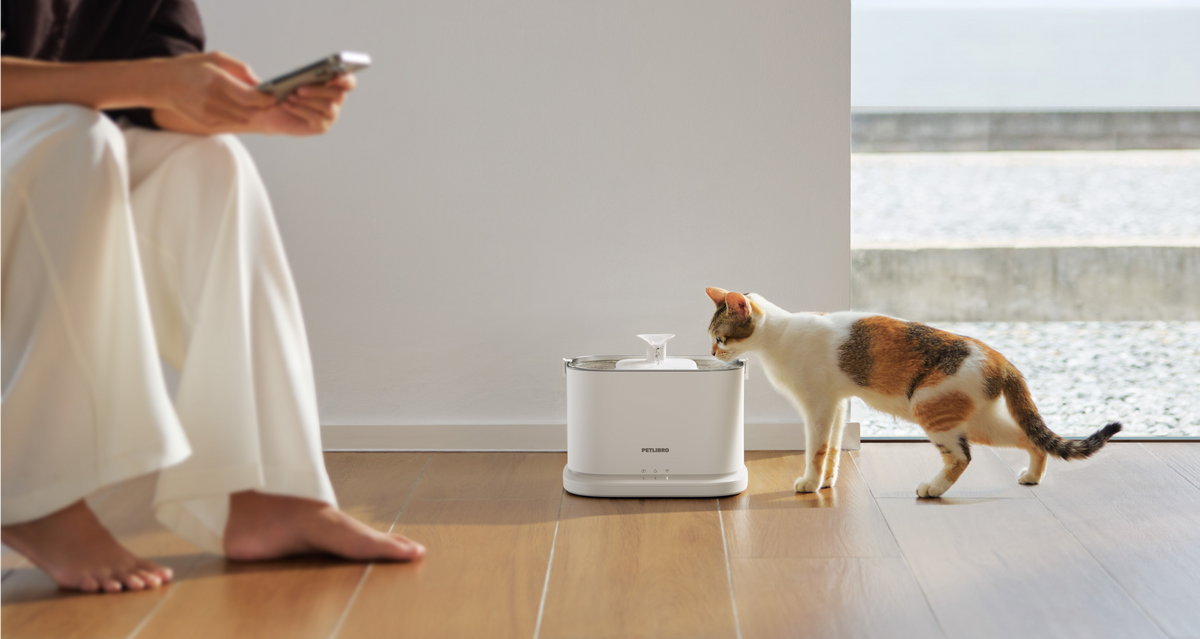 Petlibro PETLIBRO fontaine à eau blanche; chat animal de compagnie boit près d’un bac à litière et distributeur automatique de nourriture.