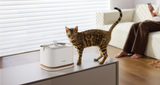 Petlibro PETLIBRO chat animal de compagnie près d’une fontaine à eau blanche; mention distributeur automatique de nourriture et bac à litière