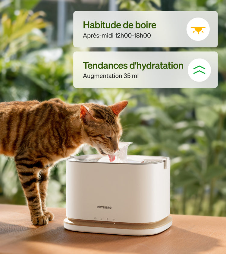 Petlibro PETLIBRO chat buvant à la fontaine à eau pour animal de compagnie; mention distributeur automatique de nourriture et bac à litière.