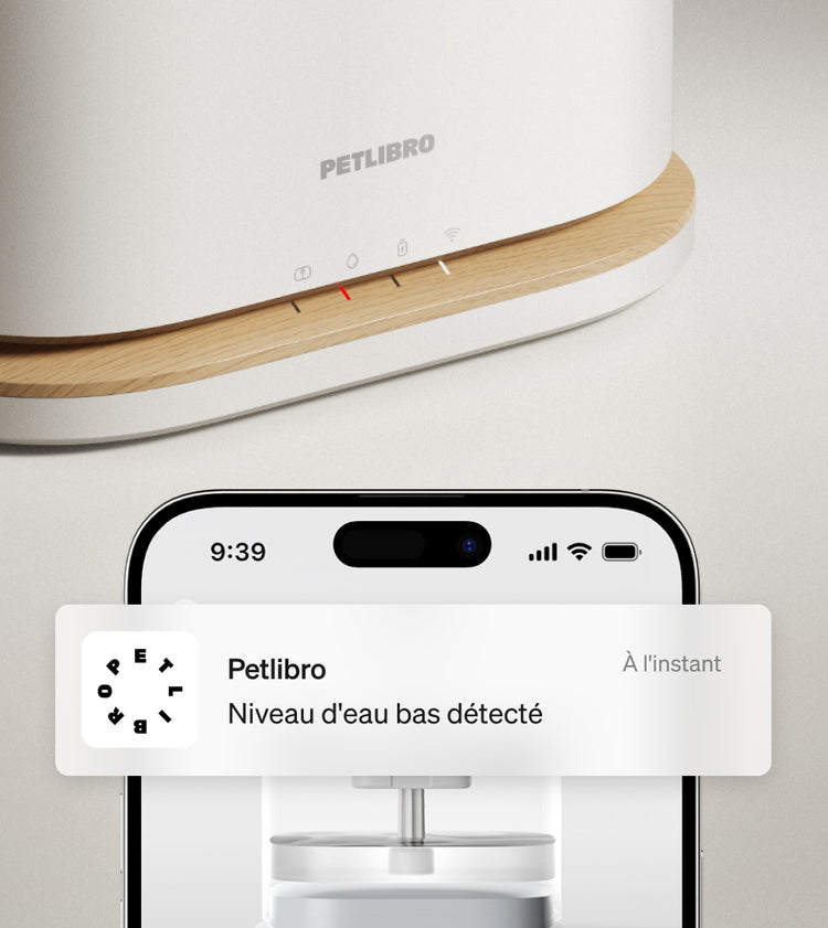 Petlibro PETLIBRO fontaine à eau connectée pour animal de compagnie, alerte niveau bas sur smartphone; pour chat, avec distributeur automatique de nourriture et bac à litière