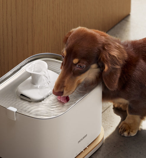 Petlibro PETLIBRO animal de compagnie boit à une fontaine à eau blanche; mention chat, distributeur automatique de nourriture, bac à litière