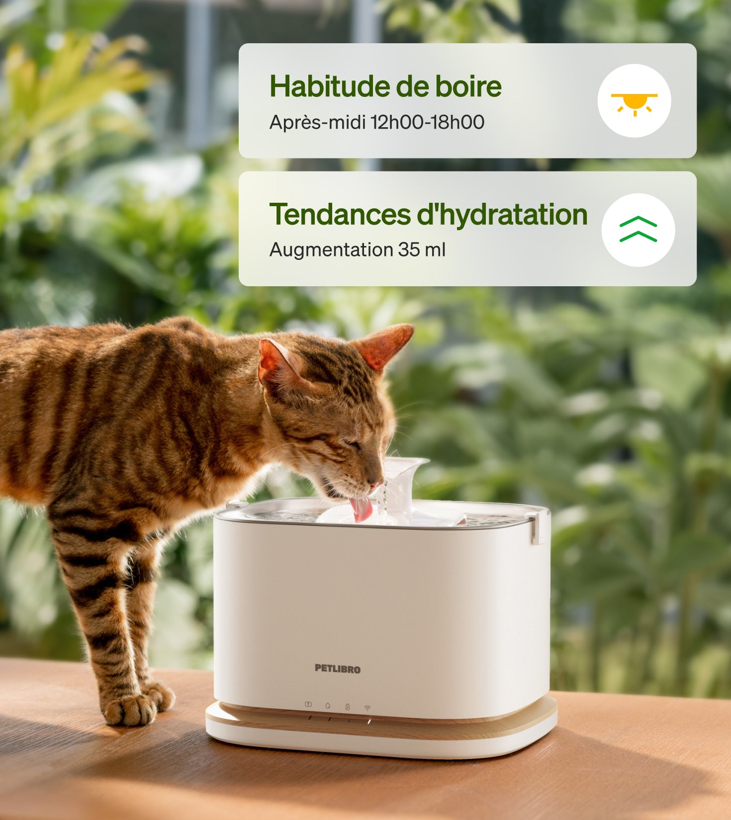 Petlibro PETLIBRO chat buvant à la fontaine à eau; animal de compagnie, distributeur automatique de nourriture et bac à litière assortis.