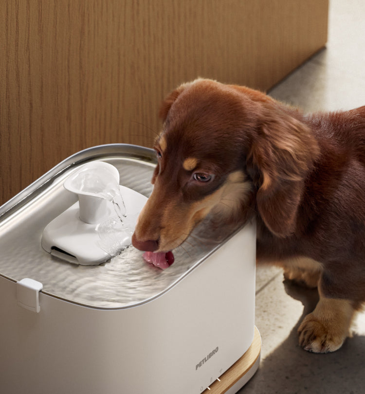 Petlibro PETLIBRO animal de compagnie chien buvant à la fontaine à eau blanche; mention chat, distributeur automatique de nourriture, bac à litière