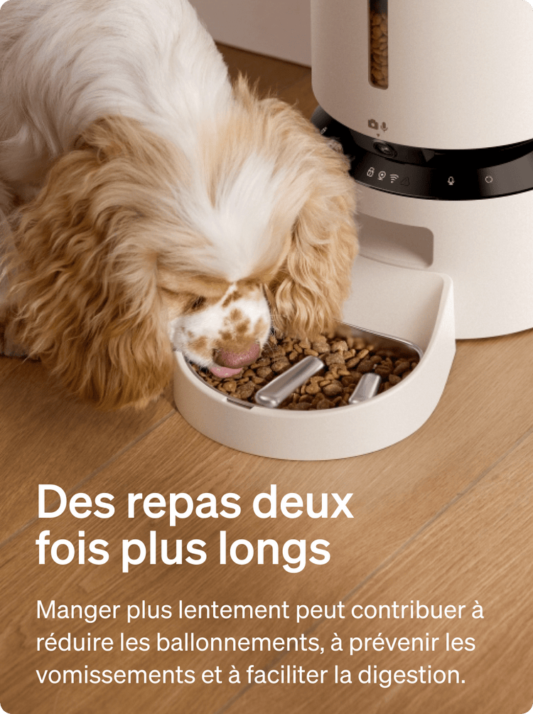Petlibro PETLIBRO animal de compagnie, chat: distributeur automatique de nourriture blanc, fontaine à eau et bac à litière, repas lents.
