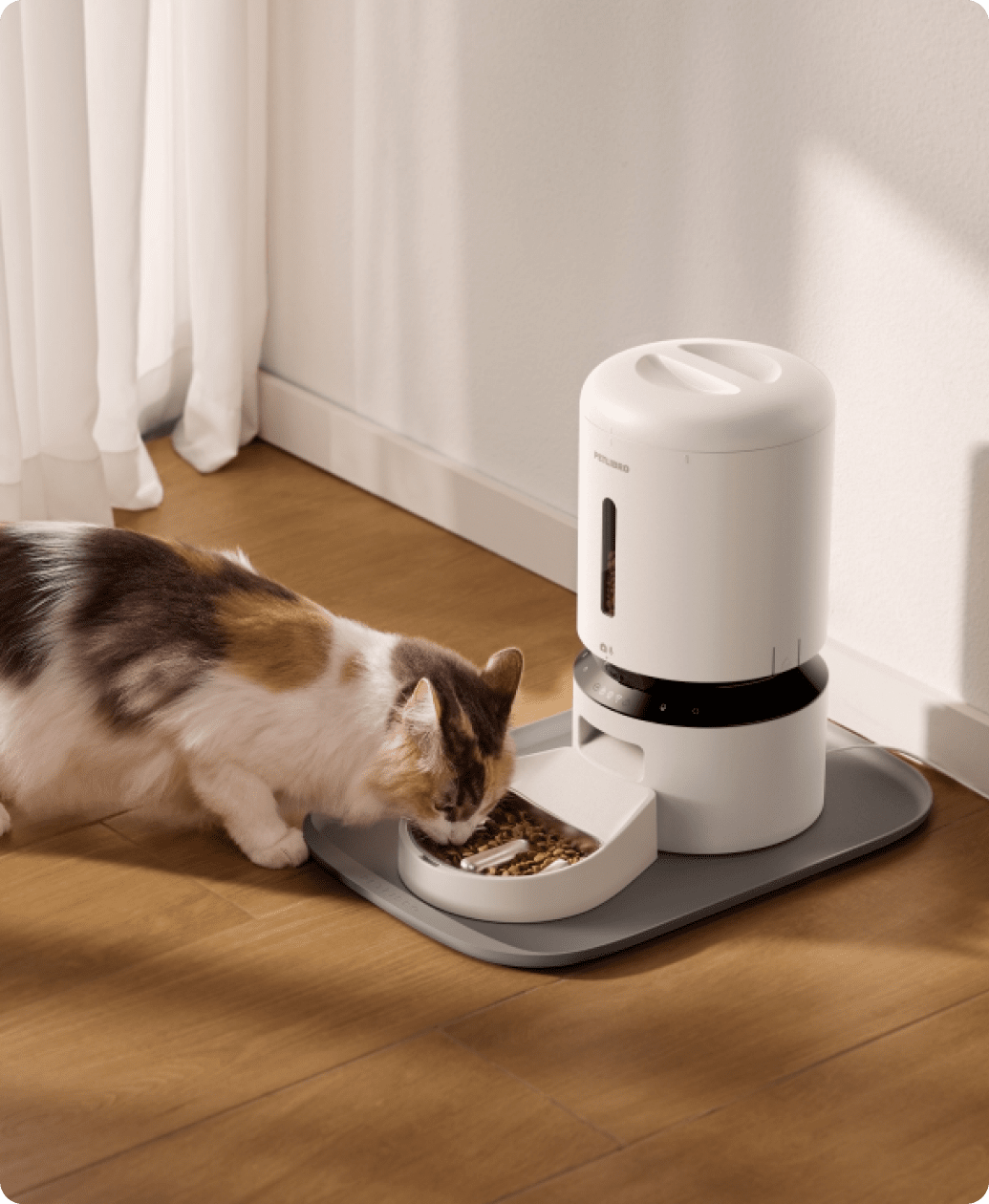 Petlibro PETLIBRO chat animal de compagnie mange au distributeur automatique de nourriture blanc; fontaine à eau et bac à litière assortis