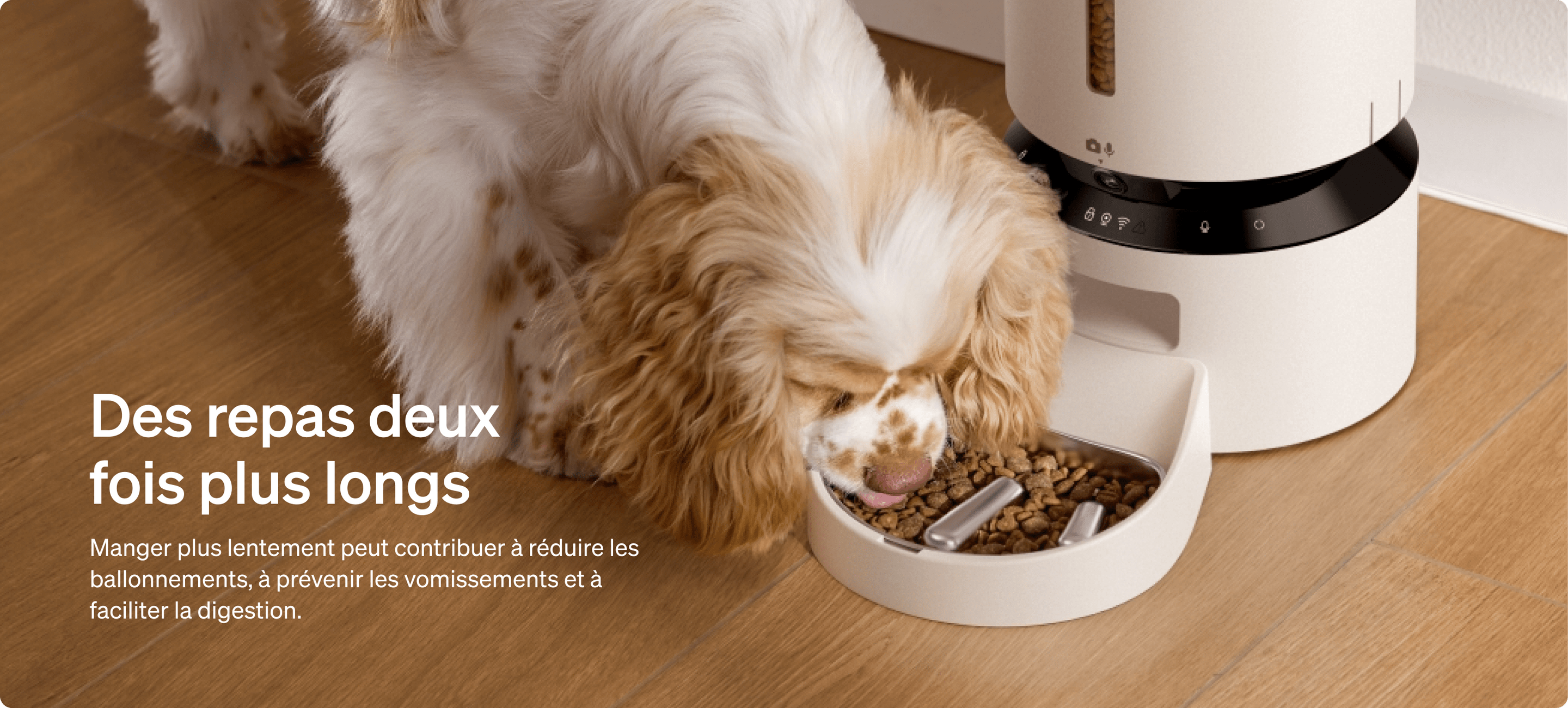 Petlibro PETLIBRO animal de compagnie: chat et chien au distributeur automatique de nourriture, avec fontaine à eau et bac à litière