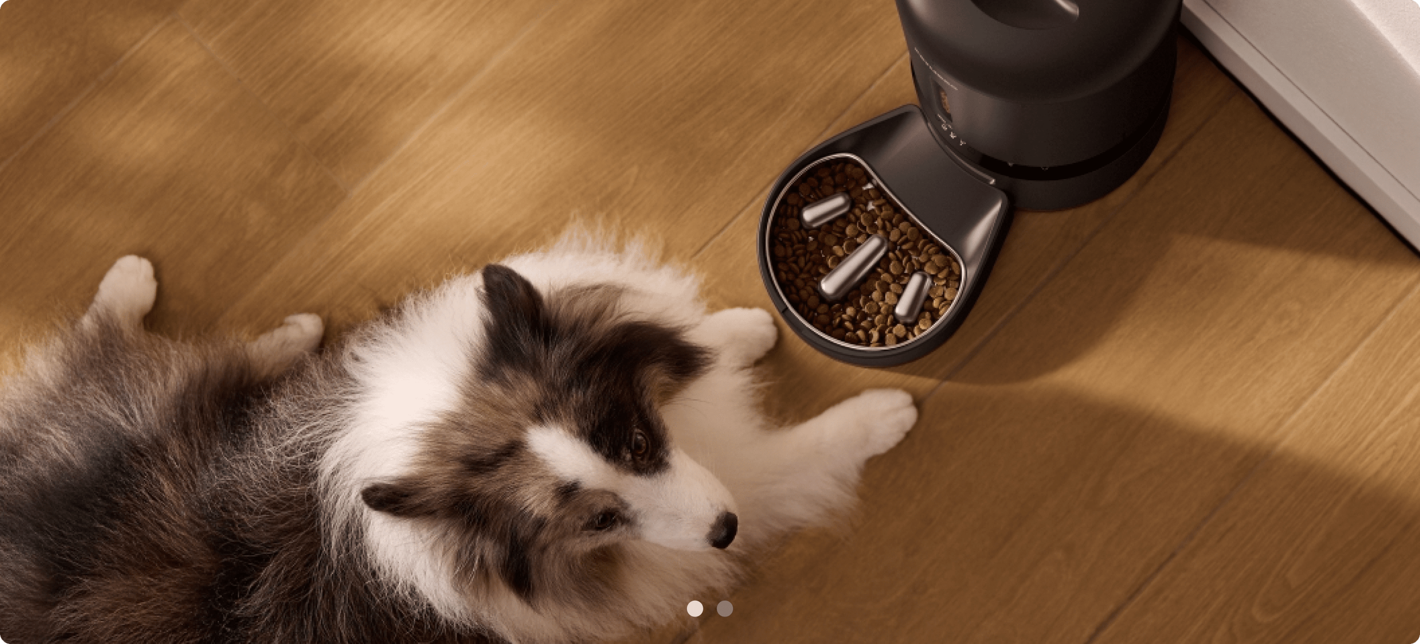 Petlibro PETLIBRO animal de compagnie, chat près d’un distributeur automatique de nourriture, fontaine à eau et bac à litière noirs sur parquet
