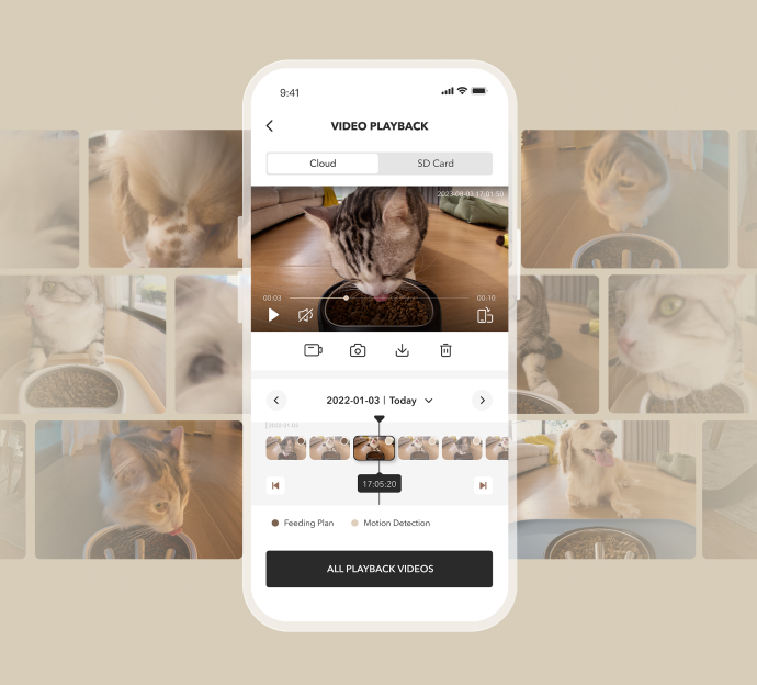 Petlibro PETLIBRO app: chat mange au distributeur automatique de nourriture; animal de compagnie, fontaine à eau et bac à litière en suivi vidéo