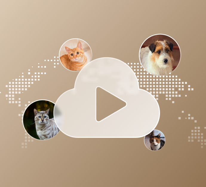 Petlibro PETLIBRO icône cloud vidéo beige avec photos d’animal de compagnie, chat et chien; distributeur automatique de nourriture, fontaine à eau, bac à litière connectés
