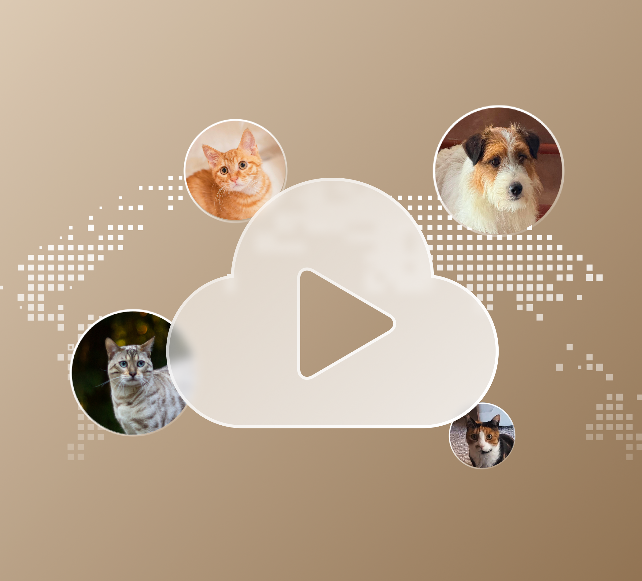 Petlibro PETLIBRO bannière animal de compagnie: chat et chien autour d’un bouton lecture, distributeur automatique de nourriture, fontaine à eau, bac à litière