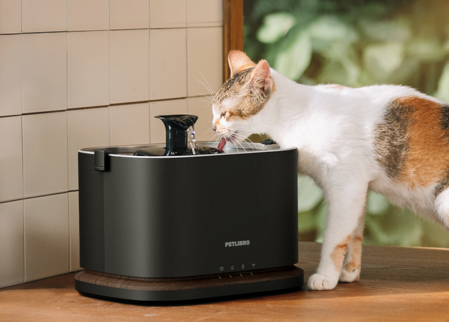 Fontaine à eau intelligente Dockstream 2