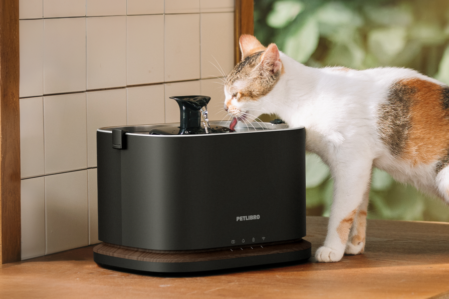 Fontaine à eau intelligente Dockstream 2