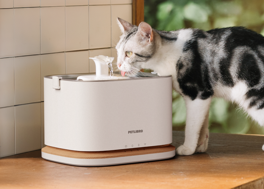 Fontaine à eau intelligente Dockstream 2