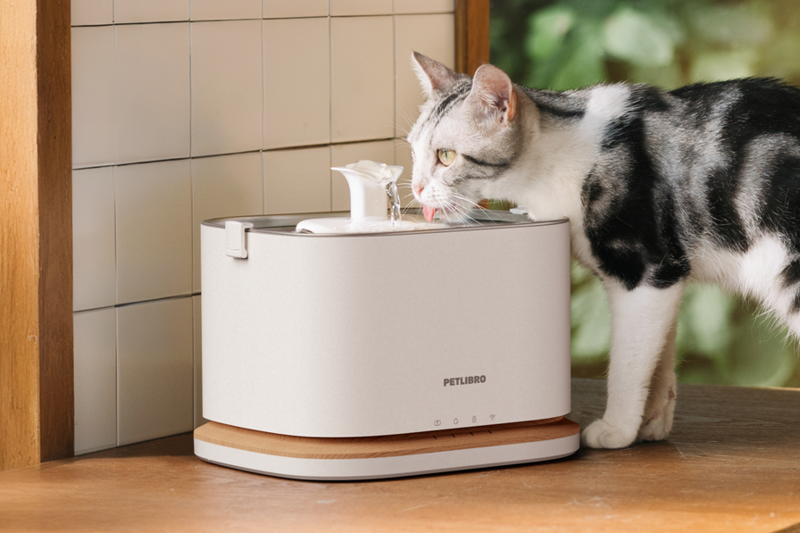 Fontaine à eau intelligente Dockstream 2