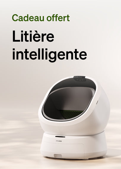 Litière intelligente offerte