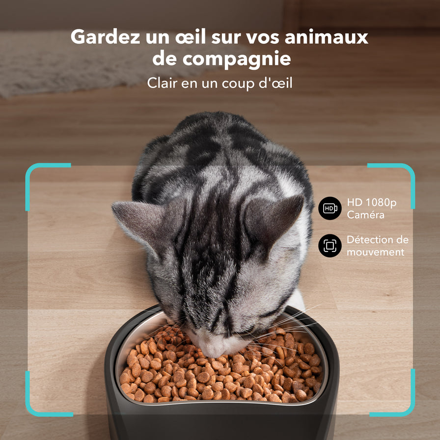 Granary Distributeur Avec Caméra de Surveillance