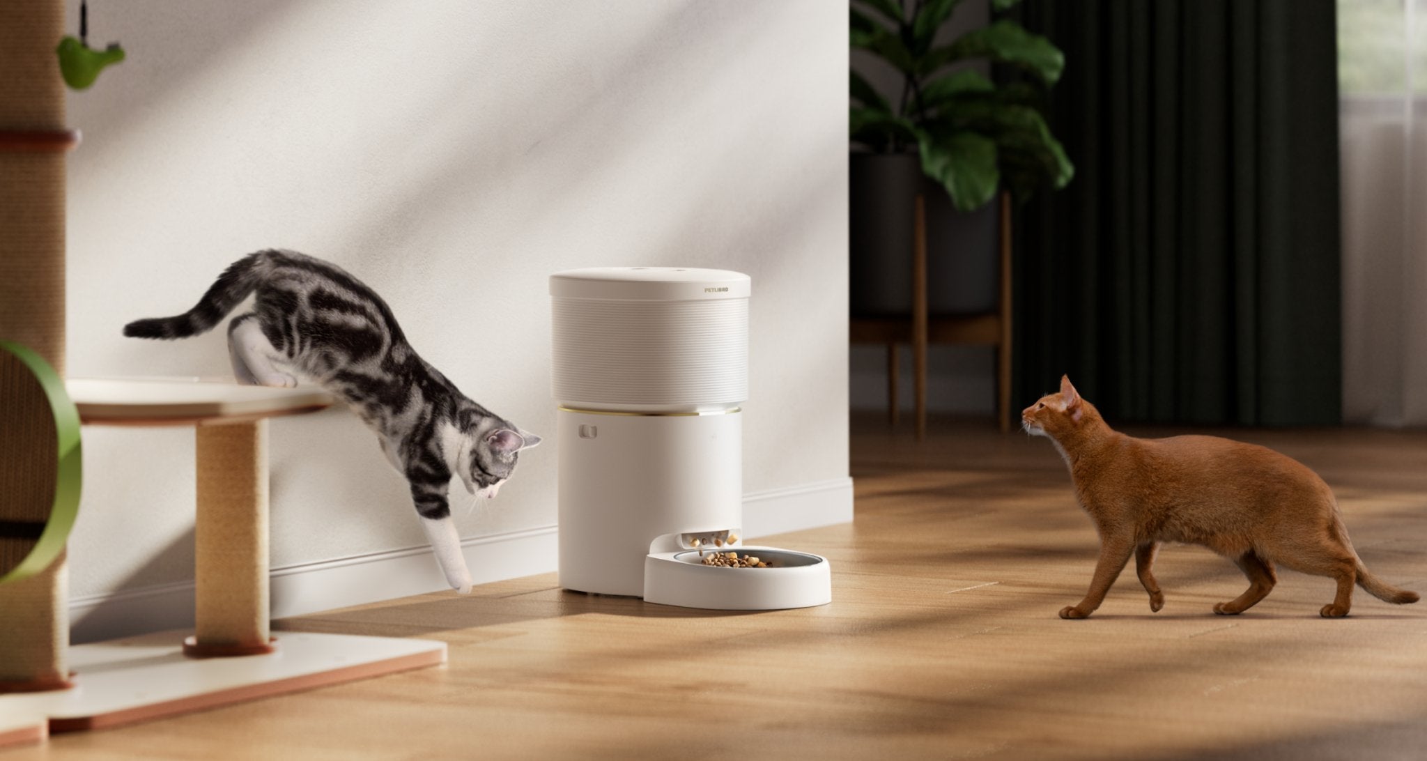 SPACE Automatic Pet Feeder