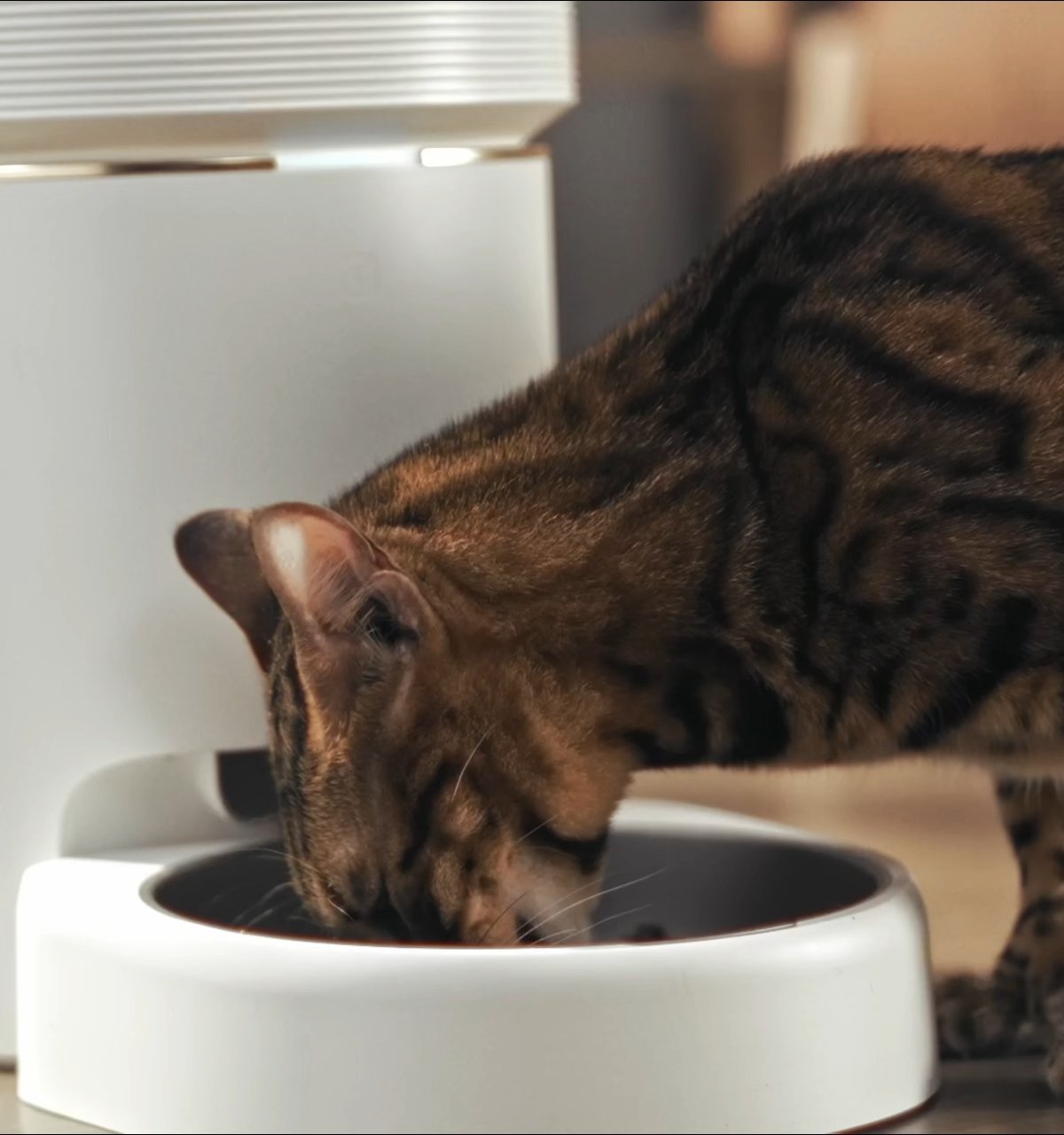 SPACE Automatic Pet Feeder