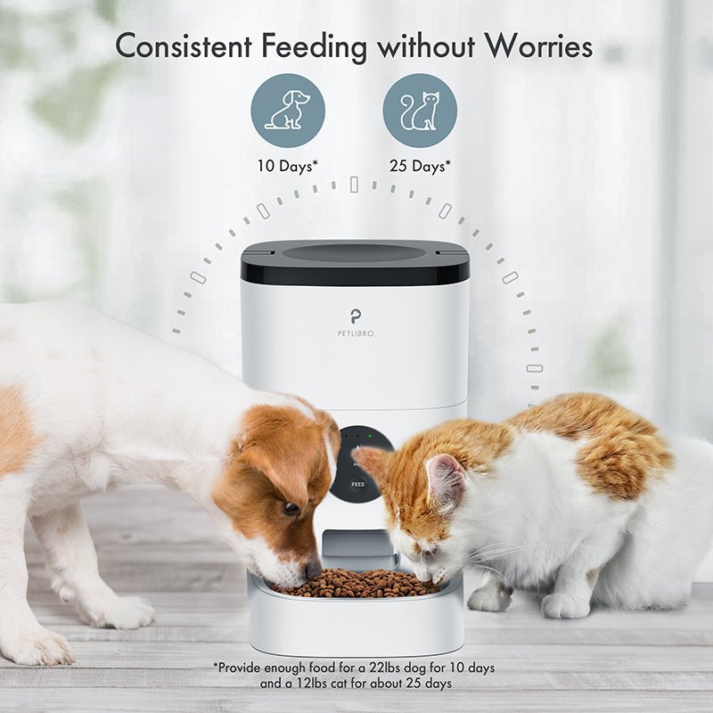 Auto cat food on sale feeder